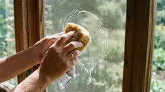 Síť proti hmyzu bude za 10 minut jako nová: jednoduchý způsob rychlého čištění pomocí běžně dostupných prostředků