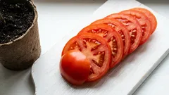 Stačí jediný rajče pro vlastní sklizeň: tento chytrý trik ze supermarketu vám k tomu na jaře pomůže