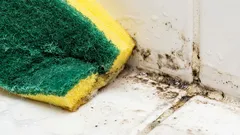  Tento mléčný nápoj okamžitě odstraní skvrny od plísně.