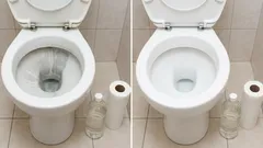 Role toaletního papíru a ocet: jednoduchý způsob, jak odstranit vodní kámen z toaletní mísy a vrátit jí původní vzhled.
