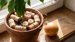 Zbavil jsem se mušek v cibuli a květinách pomocí obyčejné zátky od vína (a doporučuji vám udělat totéž – funguje to!).